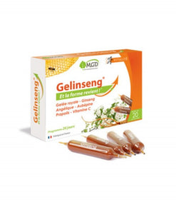Mgd gelinseng 20 ampoules